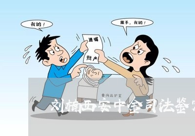 刘楠西安中金司法鉴定中心 刘楠西安中金司法鉴定中心