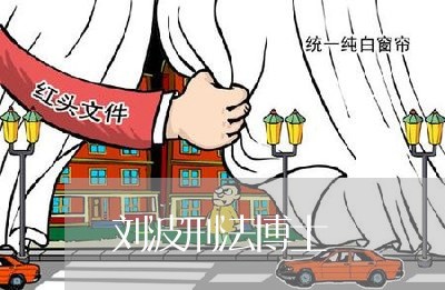 刘波刑法博士 刘波刑法博士