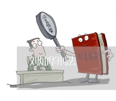 刘灿华刑法