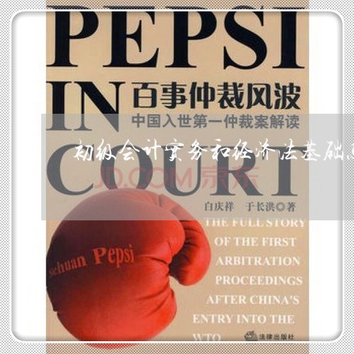 初级会计实务和经济法基础怎么学