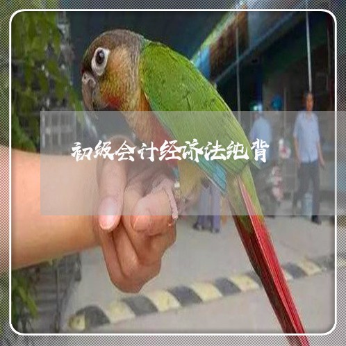 初级会计经济法纯背