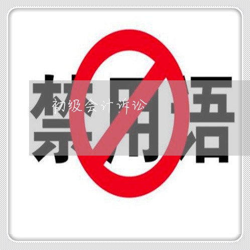 初级会计诉讼