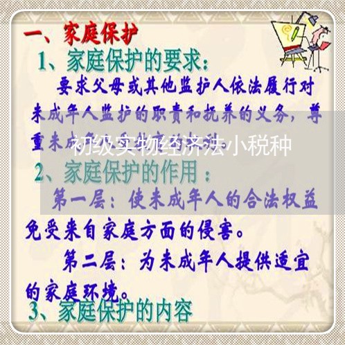 初级实物经济法小税种
