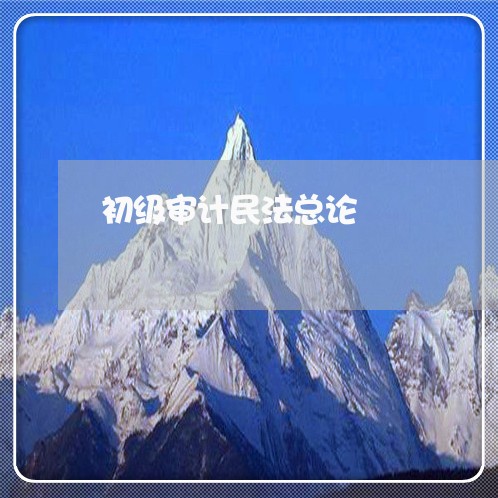 初级审计民法总论 初级审计民法总论