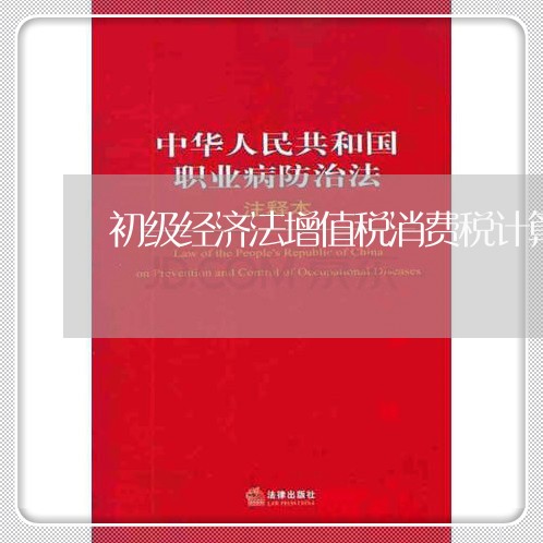初级经济法增值税消费税计算