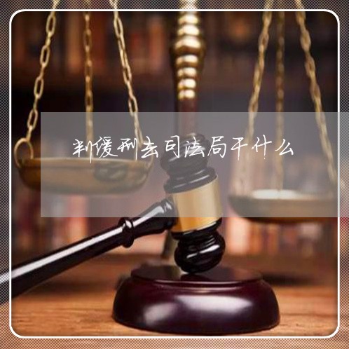 判缓刑去司法局干什么