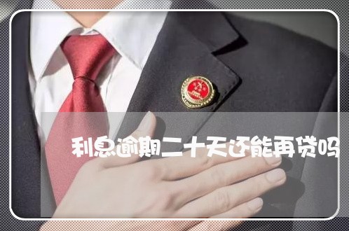 利息逾期二十天还能再贷吗 利息逾期二十天还能再贷吗