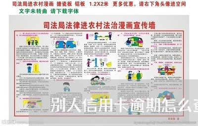 别人信用卡逾期怎么查/2023070920697