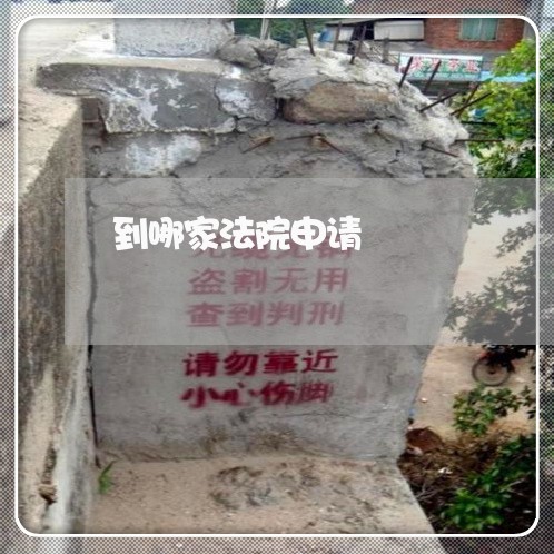 到哪家法院申请 到哪家法院申请