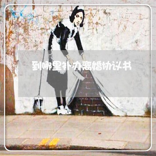 到哪里补办离婚协议书