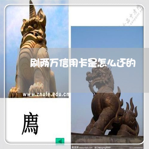 刷两万信用卡是怎么还的/2023090894716