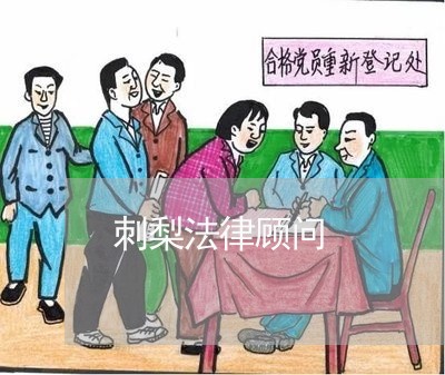 刺梨法律顾问/2023061730150 刺梨法律顾问/2023061730150