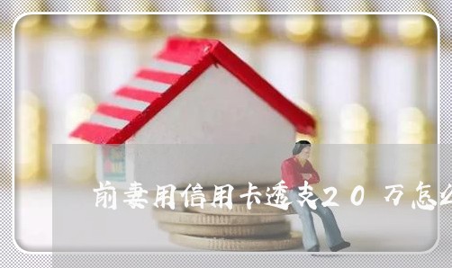 前妻用信用卡透支20万怎么办 前妻用信用卡透支20万怎么办