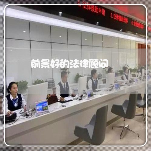 前景好的法律顾问/2023061780601