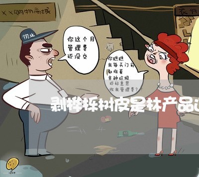 剥桦栎树皮是林产品违法不 剥桦栎树皮是林产品违法不