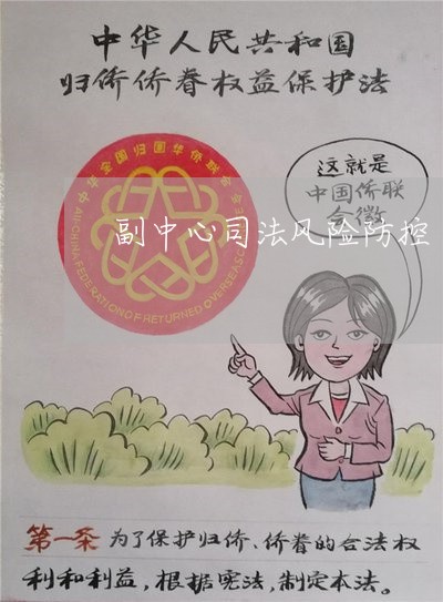 副中心司法风险防控 副中心司法风险防控