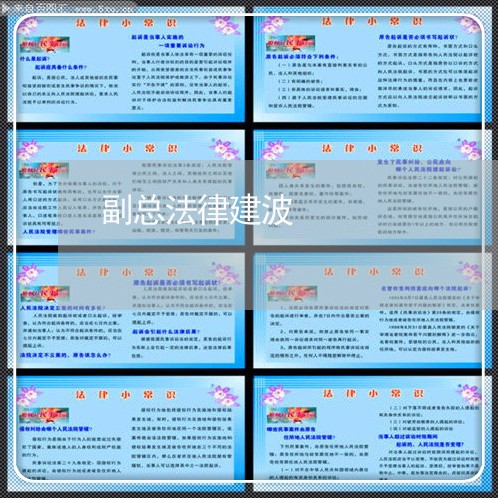 副总法律建波 副总法律建波