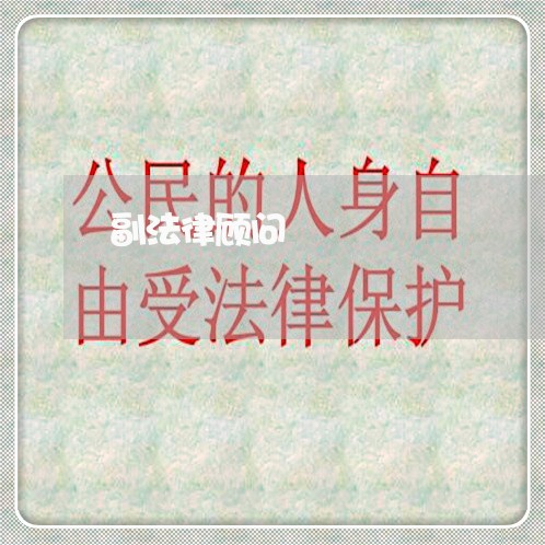 副法律顾问/2023061669493