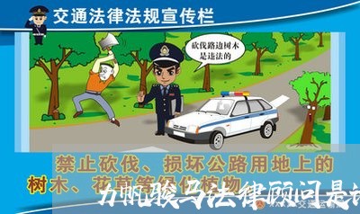 力帆骏马法律顾问是谁呀/2023061917048