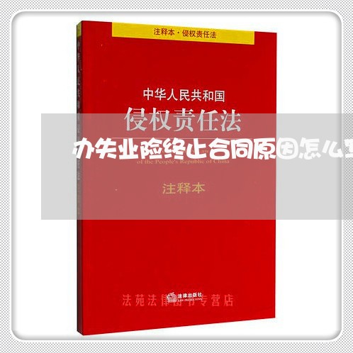 办失业险终止合同原因怎么写/2023042336257