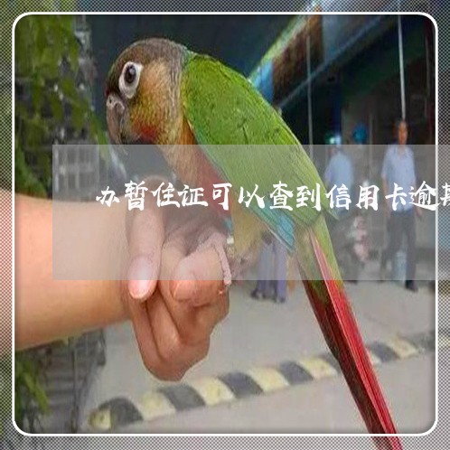 办暂住证可以查到信用卡逾期吗