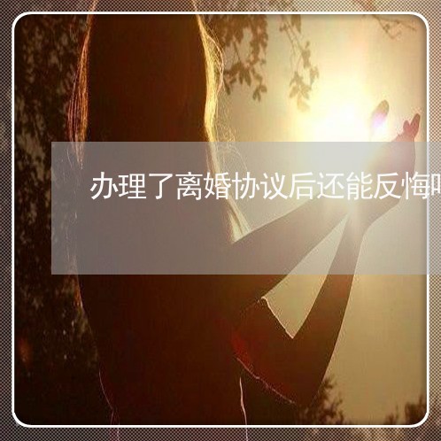 办理了离婚协议后还能反悔吗