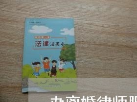 办离婚律师服务
