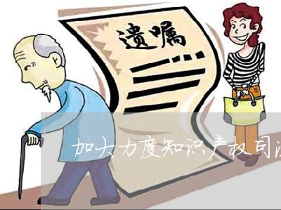 加大力度知识产权司法保护 加大力度知识产权司法保护