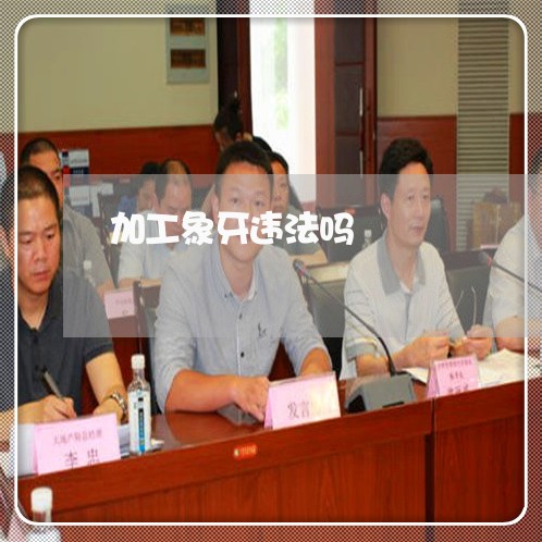 加工象牙违法吗