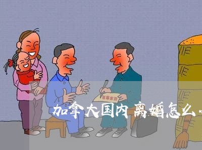 加拿大国内离婚怎么办理/2023042471840