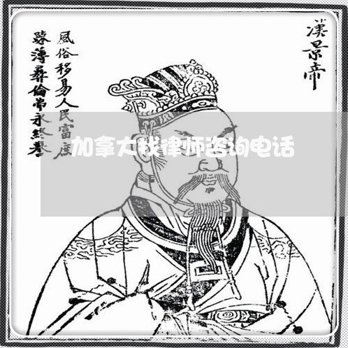 加拿大找律师咨询电话/2023042450593