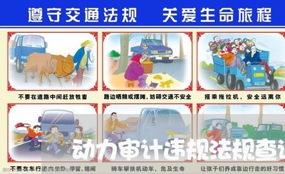 动力审计违规法规查询