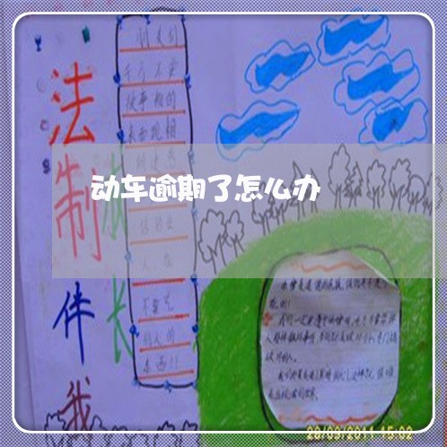 动车逾期了怎么办