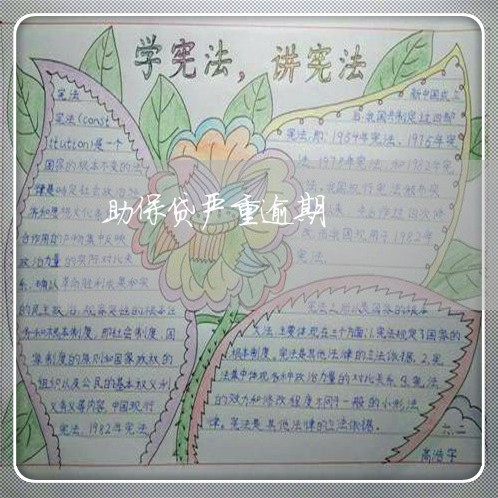 助保贷严重逾期