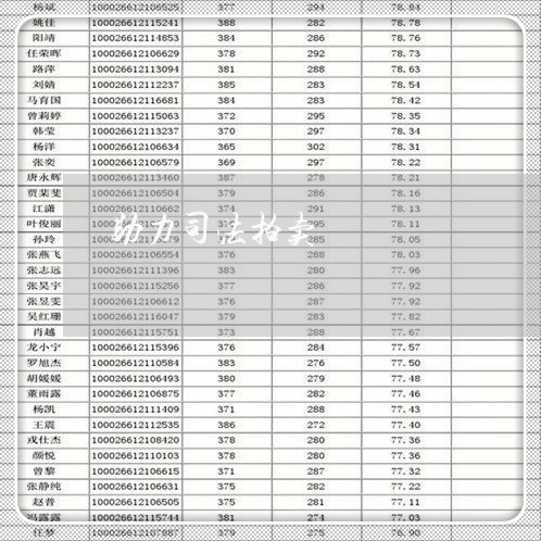 助力司法拍卖