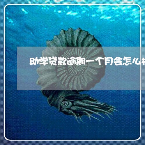 助学贷款逾期一个月会怎么样