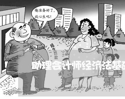 助理会计师经济法基础