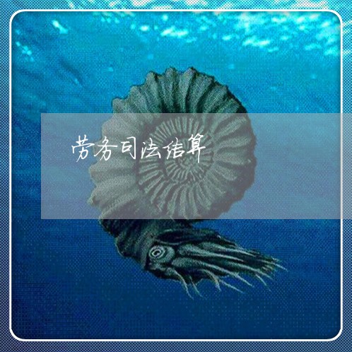劳务司法结算 劳务司法结算