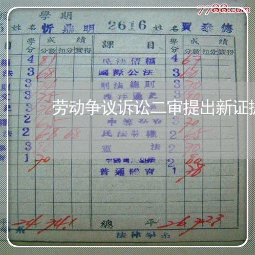 劳动争议诉讼二审提出新证据 劳动争议诉讼二审提出新证据