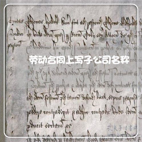 劳动合同上写子公司名称/2023060649250