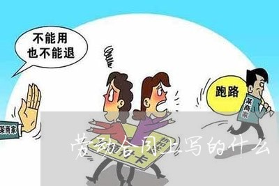 劳动合同上写的什么/2023022746268 劳动合同上写的什么/2023022746268