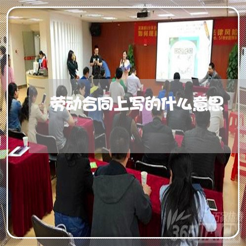 劳动合同上写的什么意思/2023060360415