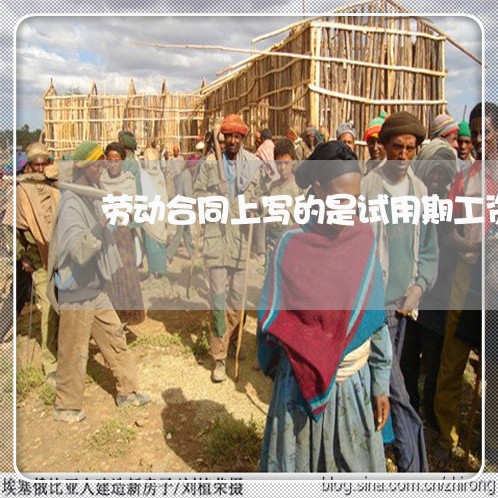 劳动合同上写的是试用期工资吗/2023061650571 劳动合同上写的是试用期工资吗/2023061650571