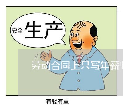 劳动合同上只写年薪吗合理吗/2023061744935