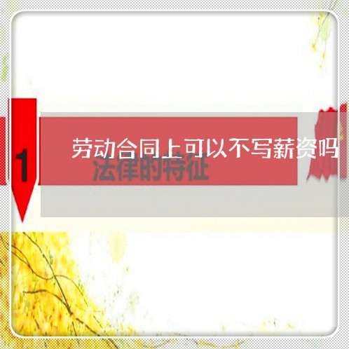 劳动合同上可以不写薪资吗/2023060294826