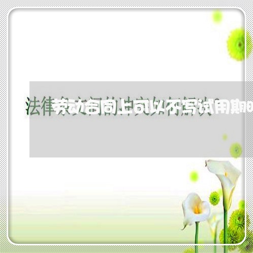 劳动合同上可以不写试用期时间吗/2023061639391