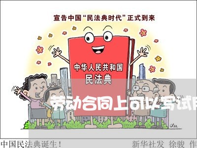 劳动合同上可以写试用期吗/2023060895149