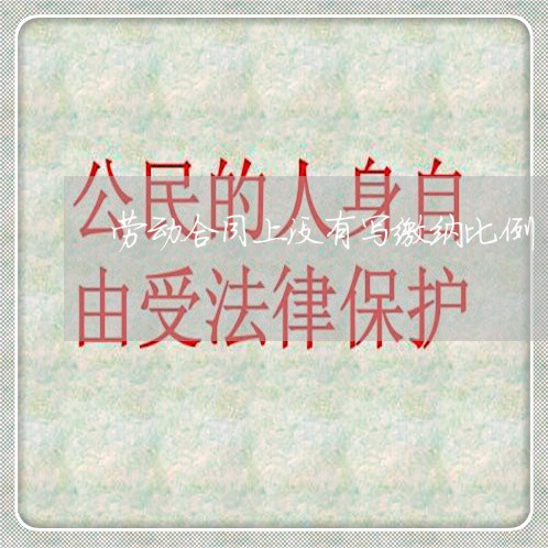 劳动合同上没有写缴纳比例/2023041380616 劳动合同上没有写缴纳比例/2023041380616