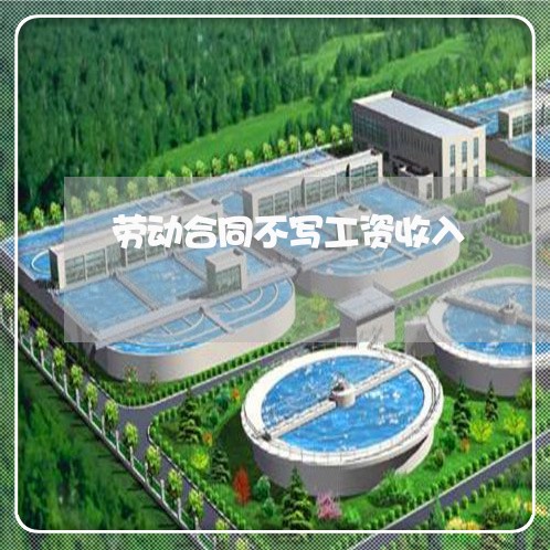 劳动合同不写工资收入/2023041404846 劳动合同不写工资收入/2023041404846