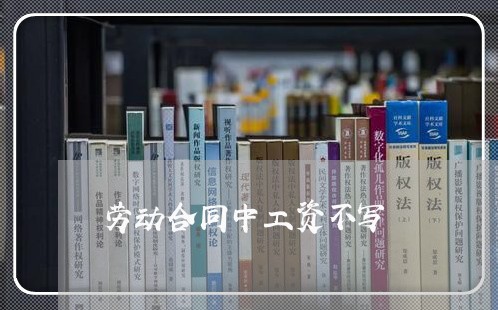 劳动合同中工资不写/2023041214826